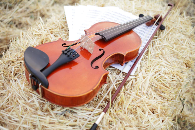 Violine